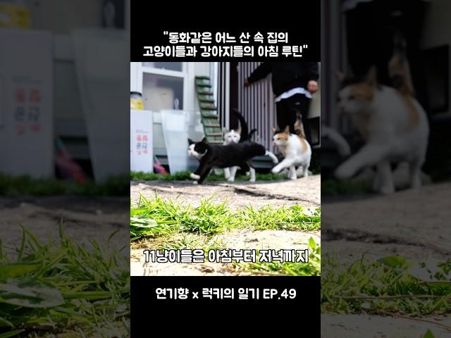 “럭키의 일기 EP.49”  #럭키의일기 #연기향 #감동실화