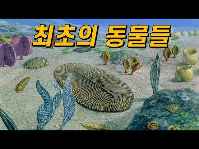 캄브리아기 이전에는 어떤 생물들이 살았을까?(ft.에디아카라 생물군)