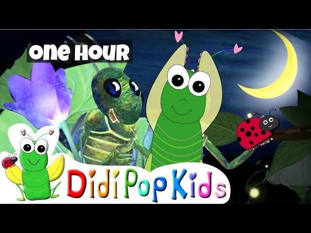 Cocomelon Cricket Alphabet ABC Song | 1 HOUR Audio | Cricket Song by DidiPop Kids