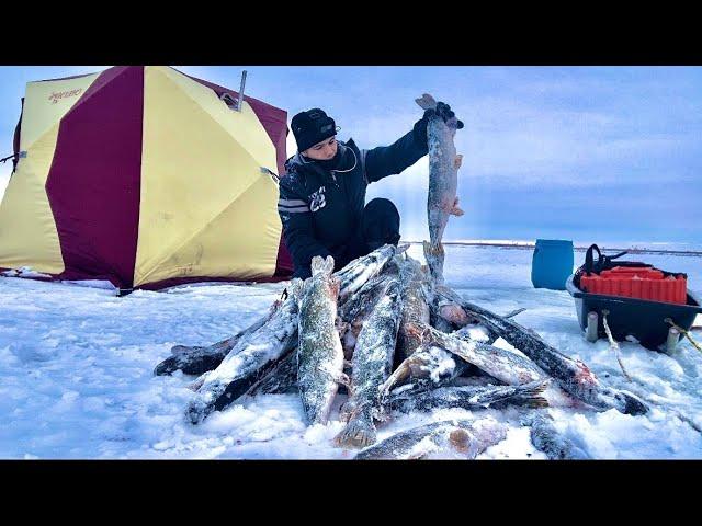 ЛЕСКА ТРЕЩИТ В РУКАХ! Щуки сошли с ума! На ПЕРВЫЙ ЛЁД через всю страну. Рыбалка н ЖЕРЛИЦЫ 2024.