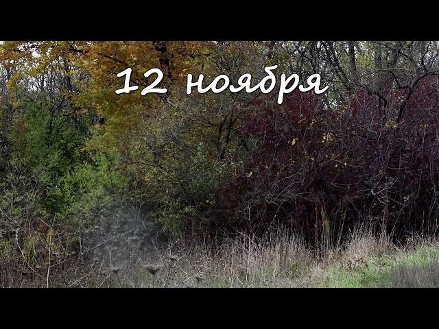 12 ноября – именины сегодня отмечают