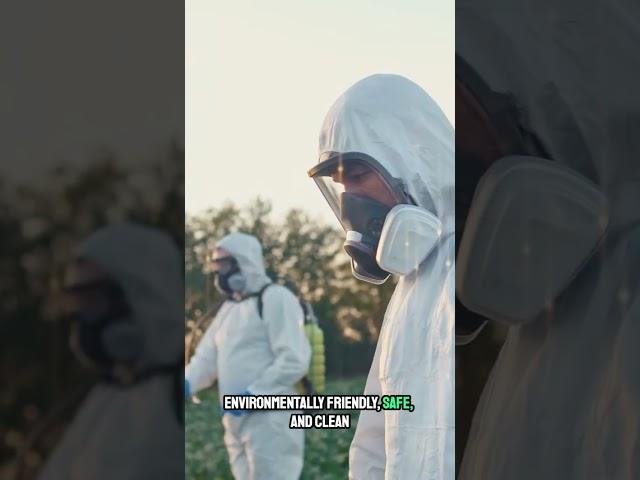 Pests Are No Match | Theme Song | Trust Pest Control Sydney