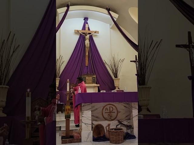Fr.Franklin Dass Sunday mass at Our Lady of Solitude