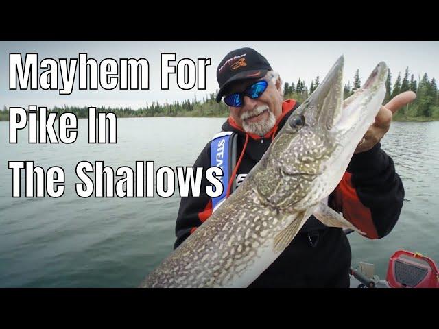 Absolute Mayhem For Pike In The Shallows | Fish'n Canada