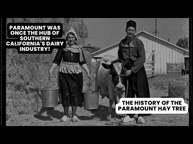 The Paramount Hay Tree: Last Remaining Link to the City's Once Dominant Industries