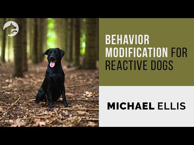 Behavior Modification for Reactive Dogs - Michael Ellis