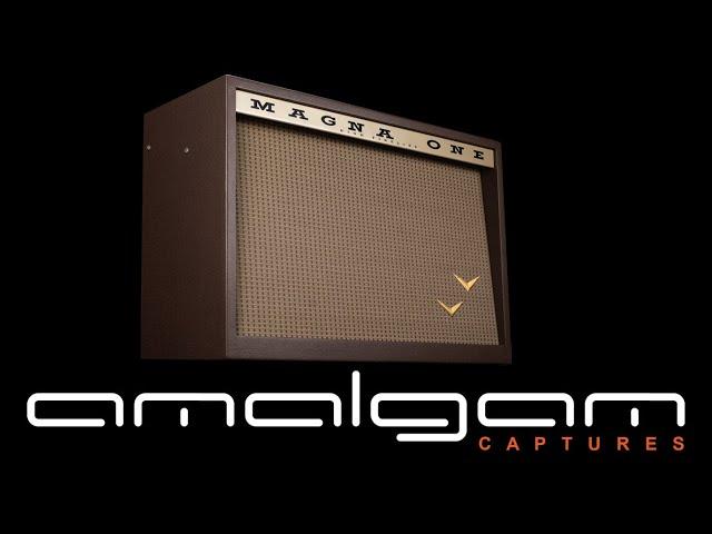 Best all around modern combo amp? DI captures of the Magnatone Twilighter Stereo for ToneX and QC