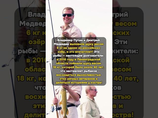 Щука-Чемпион: Улов Путина и Медведева! #РоссийскиеОзёра #Щука #Рыбалка