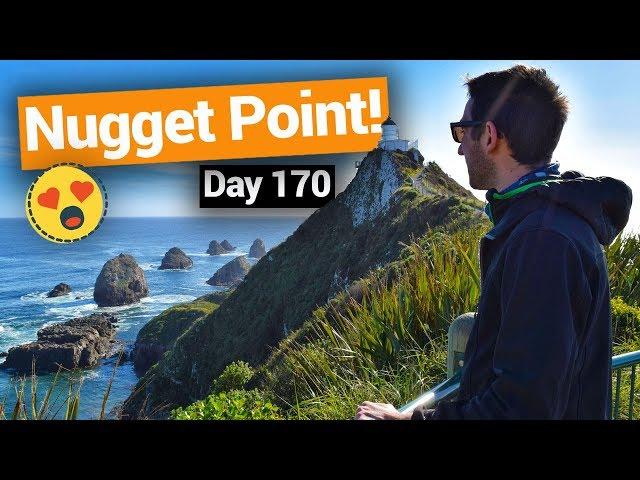 ️ Nugget Point in The Catlins & Balclutha –  New Zealand's Biggest Gap Year