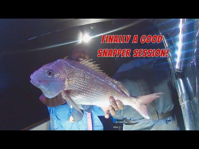 Its Snapper Time Again!  #snapperfishing #snapper #boating #fishingaustralia