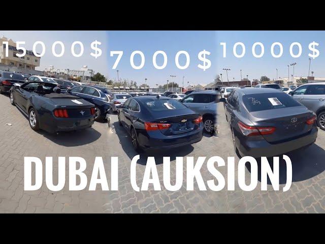 MALIBU 7000$ SHUNDAY KUNLAR O’ZBEKISTONDA QACHON BO’LADI?! DUBAI AVTO BOZORI (AUKSION)