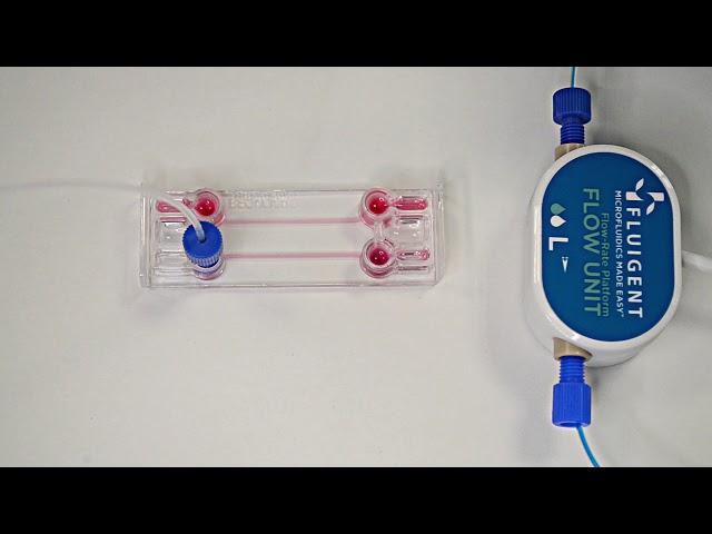 Be-Flow: Microfluidic set-up (Fluigent pump)