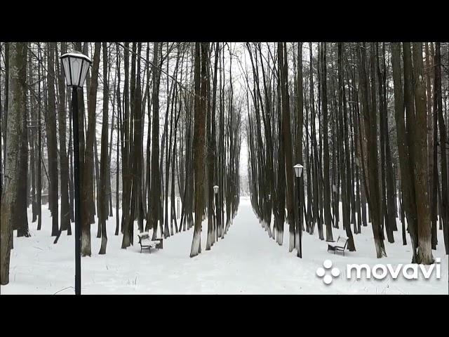 Снежная поездка в Лысьву 16 ноября 2024г. ️