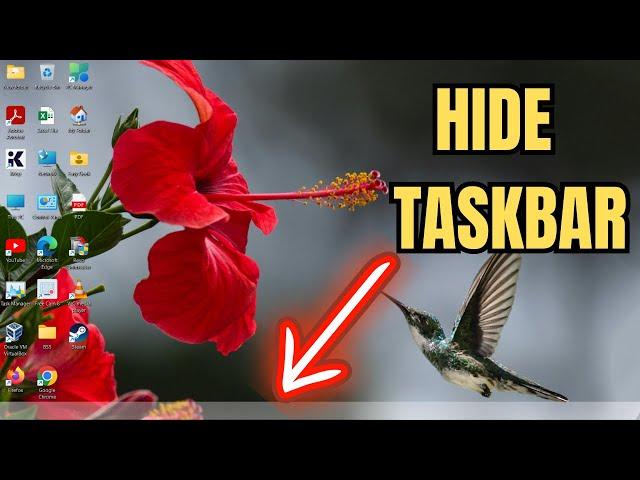 How To Hide/Unhide The Taskbar On Windows 11