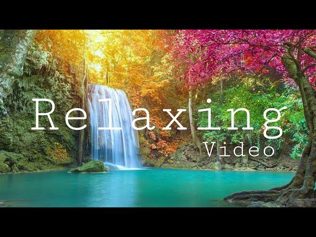 Meditation Music: Relax Mind Body 30 minutes