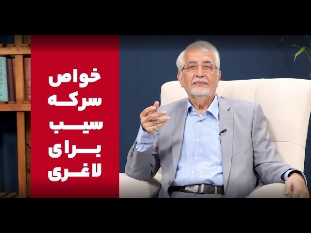 خواص سرکه سیب برای لاغری!