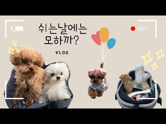 나리와 알콩달콩! 쉬는날에는 모하까?