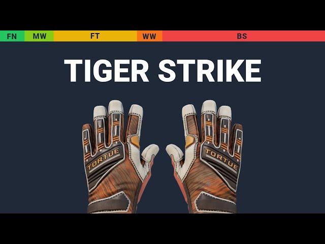 Specialist Gloves Tiger Strike - Skin Float And Wear Preview