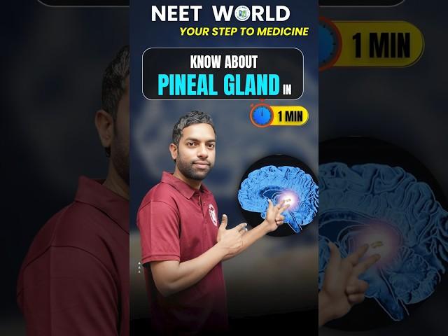  Sleep Hormone Secret: Pineal Gland | NEET Quick Revision