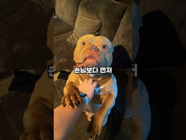 한국인이 미국 중산층 집에 처음 가보고 깜짝 놀란 이유와 문화충격