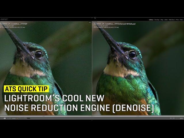 QuickTip: Lightroom’s Cool New Noise Reduction Engine (Denoise)