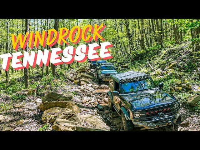 Conquering Mud Ruts And Water Crossings: Ford Broncos Vs Windrock Park Tennessee