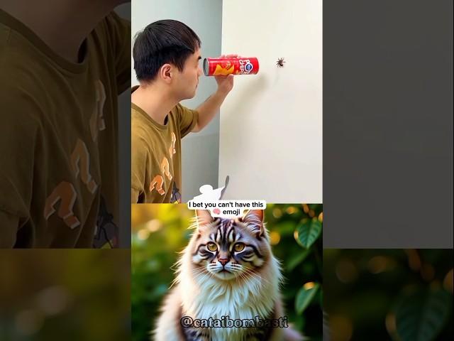 Bombastic memes  #memes #cat #funny