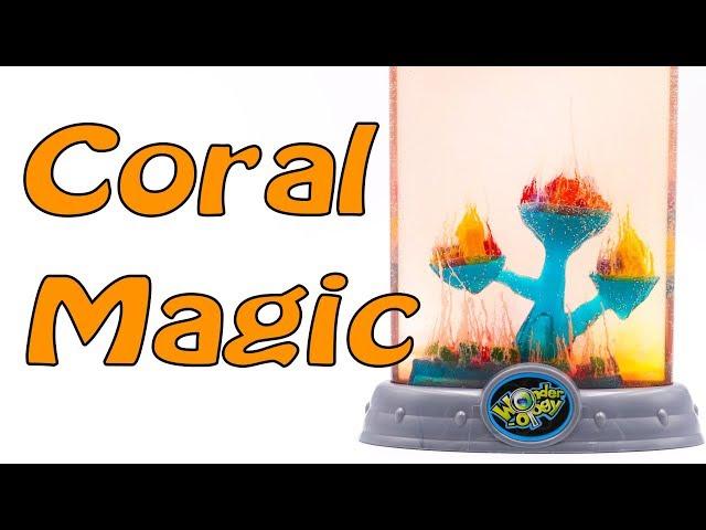 DIY - Coral Magic by Wonderology (like Magic Rocks) - timelapse