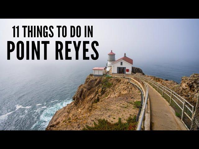 11 Things to do at Point Reyes National Seashore