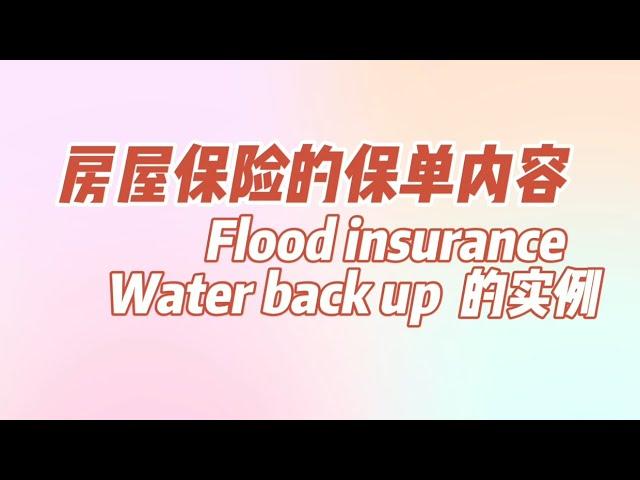 房屋保险的保单内容 Flood insurance  Water back up  的实例