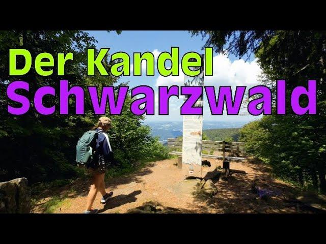 Der Kandel (Schwarzwald/Black Forest Germany ️) Natur pur- Ein Berg zum Verlieben!