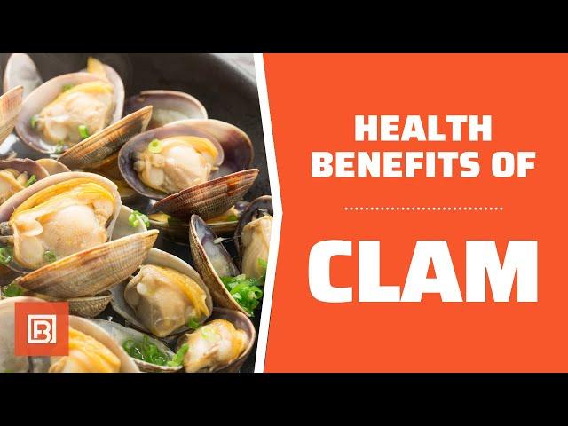 Health benefits of Clam: A great seafood to include in your diet!