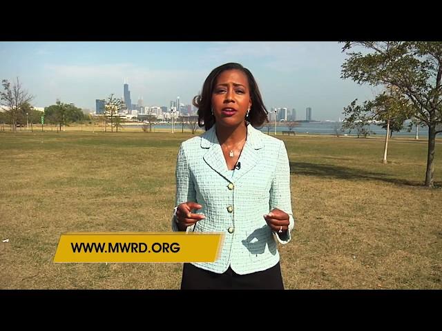 MWRD - Commissioner Kari K. Steele