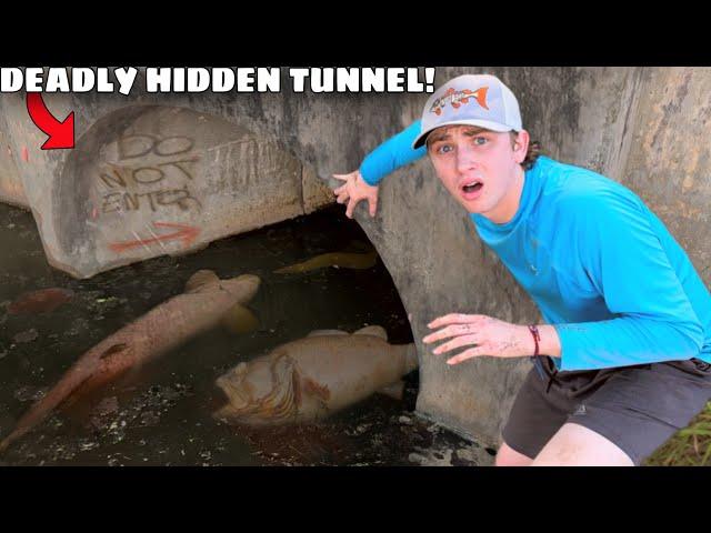 I Saved Fish From a DEADLY Hidden Tunnel!