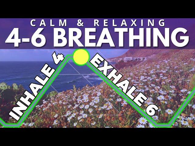 4-6 Breathing for Stress (in 4 out 6)