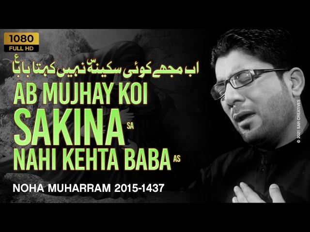 Ab Mujhay Koi Sakina Nahi Kehta Baba - Mir Hasan Mir - New Noha 2015-16 [HD]