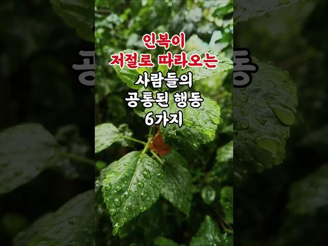 인복이 저절로 따라오는 사람들의 공통된 행동 6가지