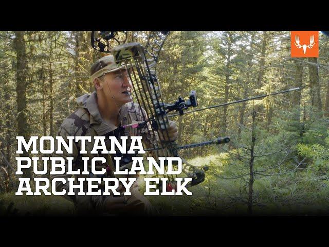 Montana Public Land Archery Elk | On the Hunt with Janis Putelis