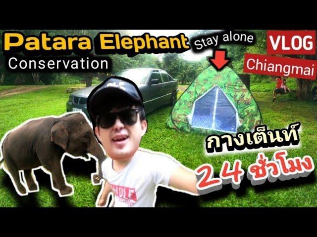 Patara Elephant Conservation นอนเต็นท์ 24 ชั่วโมง l WOLF STUDIO l VLOG I Ep.79 #Chaingmai #Camping