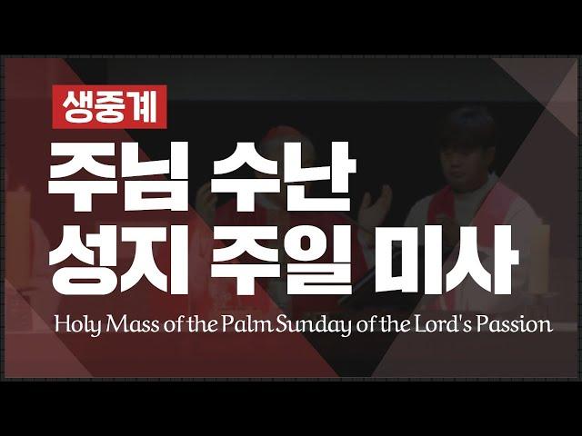 [생중계] 주님 수난 성지 주일 미사_주교좌 명동대성당_염수정 안드레아 추기경 집전