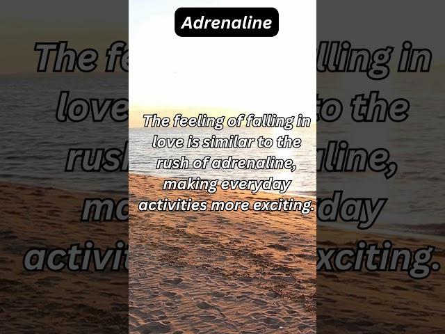 Philosophy - Adrenaline  #dailyphilosophy #philosophy #quotes #motivation