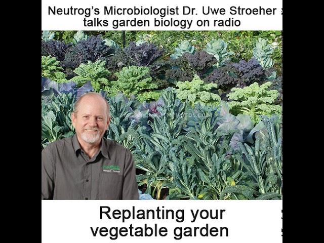 Neutrog TV | How to establish or replant a veggie garden + replenishing soil nutrients