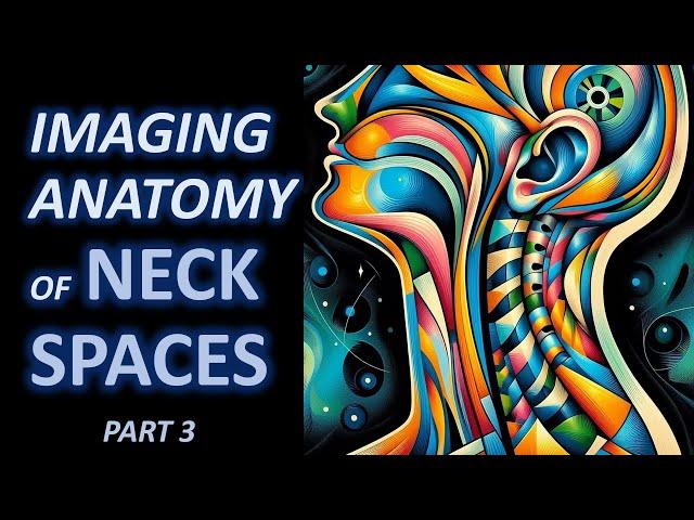 Imaging Anatomy of Neck Spaces (part 3)