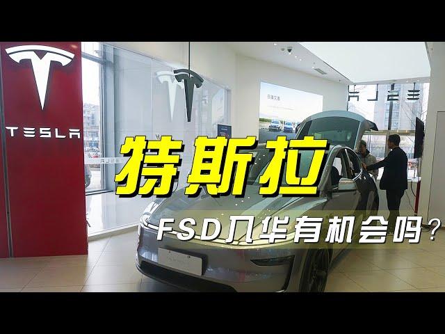 特斯拉FSD入华，能否在中国市场续写传奇？「央视财经评论」20250226 | 财经风云