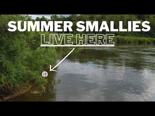 Breaking Down a River in the Summer for Big Smallmouth Bass (Locations and Tips)