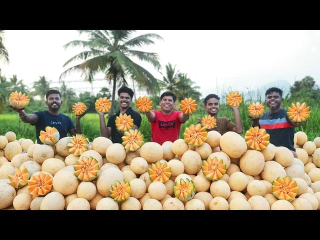 SHAMAM JUICE | Muskmelon Juice Recipe | Healthy Refreshing Drink | Village Food