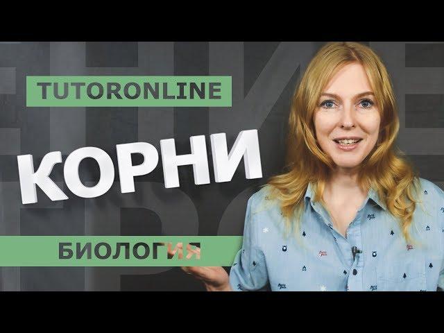 Биология I Корни