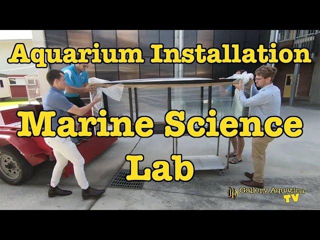 Aquarium Installation: School Marine Science Lab --- Gallery Aquatica TV