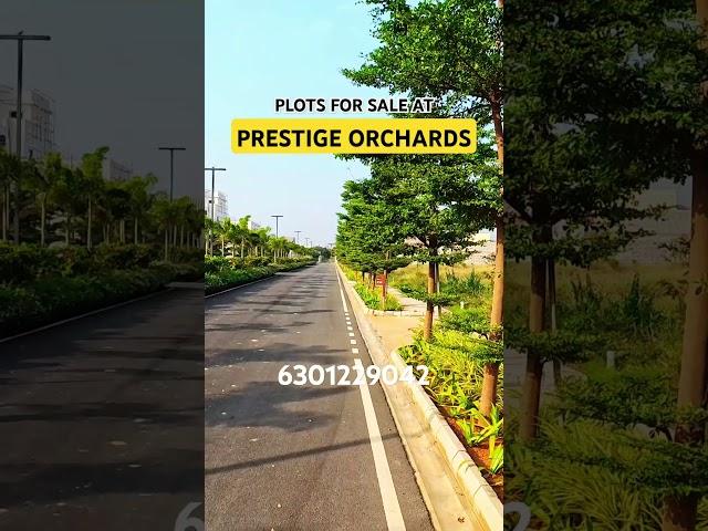 Prestige Orchads Plot for sale in Shamsabad #Hyderabad