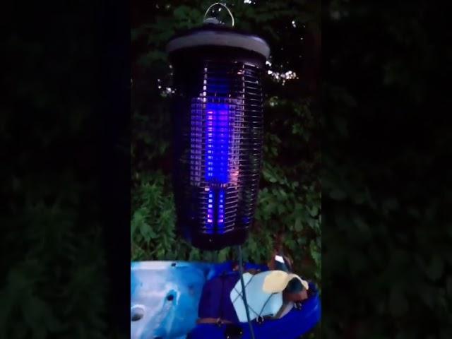 stinger bug zapper (best ever made)